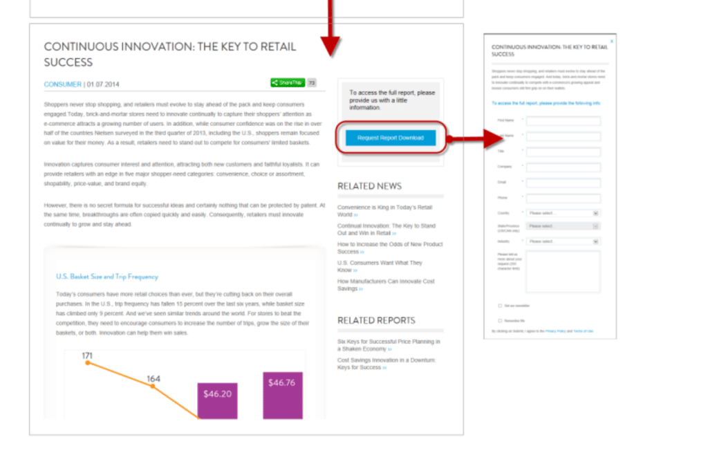 Nielsen Group landing page with information on resources they'd be downloading when filling out the form